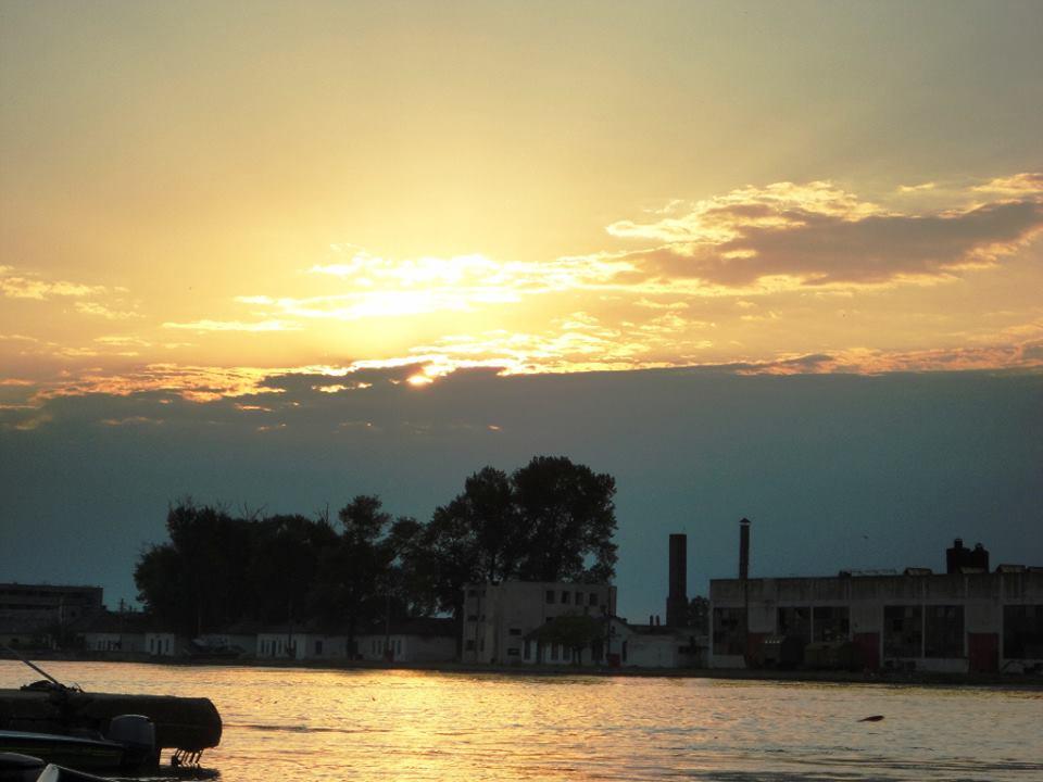 PLIMBARI IN DELTA  - 71882.jpg